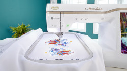 Baby Lock Meridian Large Embroidery Field